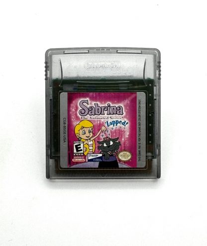 Sabrina The Animated Series (Nintendo Game Boy Color, 2000) Authentic Tested Cleaned